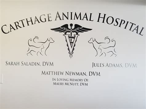 Carthage animal hospital - The team at Carthage Animal Hospital is looking for our next associate veterinarian. Our five-doctor small animal practice is located in Carthage NC. The long tenured staff includes three RVTs and seven vet assistants. We love taking care of animals and also taking care of each other as a tight knit team. The facility is equipped for soft tissue and …